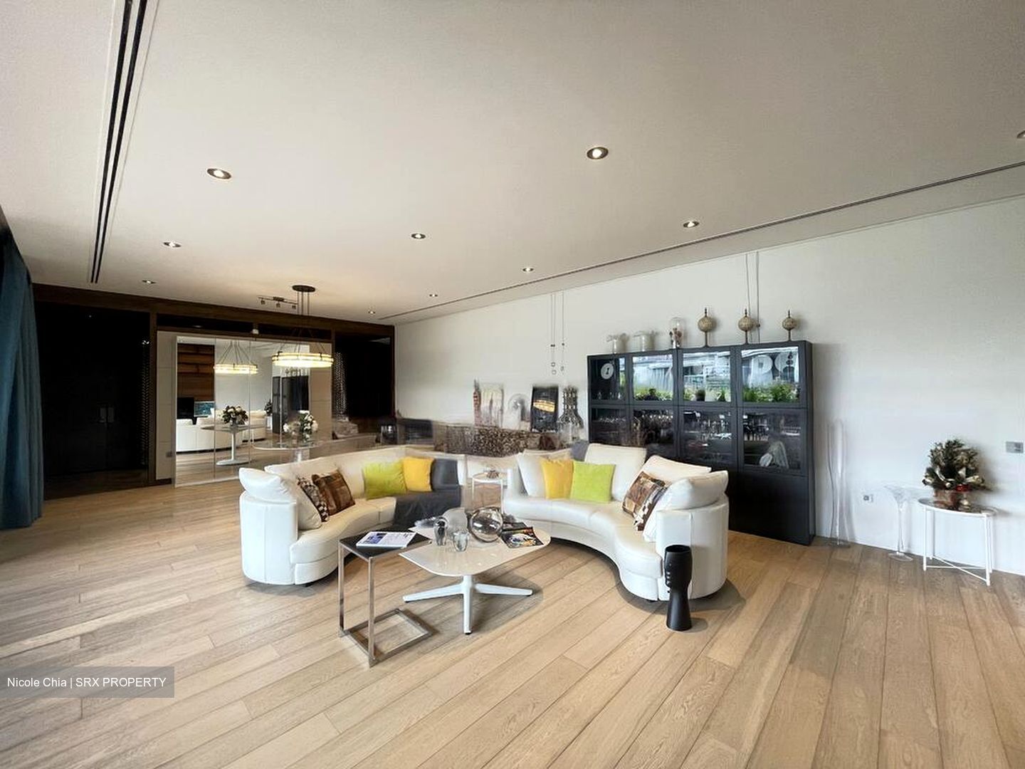 Nassim Park Residences (D10), Condominium #476346221